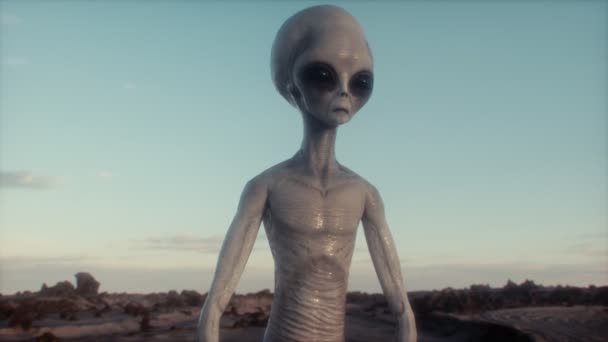 Alien Surveys Earth Landing Ufo Uap Concept Cgi Animation — Stok Video