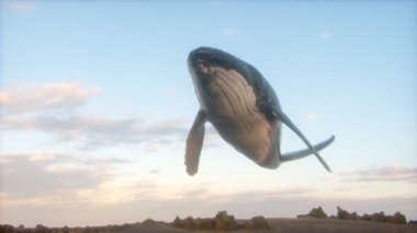 Surrealist Animation of a Humpback Whale in the Sky. Fantasy Imagining. Bold, Catchy Imagery. 4K CGI animation.