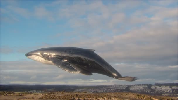 Surrealist Animation Humpback Whale Sky Fantasy Imagining Bold Catchy Imagery — Stok Video