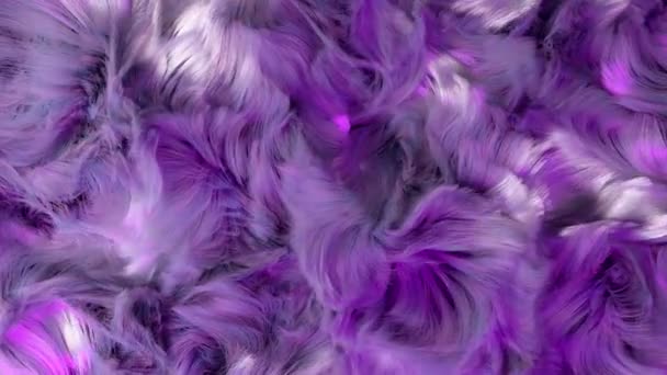 Рожеве Фіолетове Плюшеве Волосся Дме Вітер Фон Cgi — стокове відео
