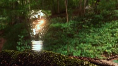 Parlayan bir ampulün canlandırılması, yeşil alternatif enerjiyi, çevre dostu gücü, sürdürülebilirliği, verimliliği ve yenilenebilirliği sembolize eder..
