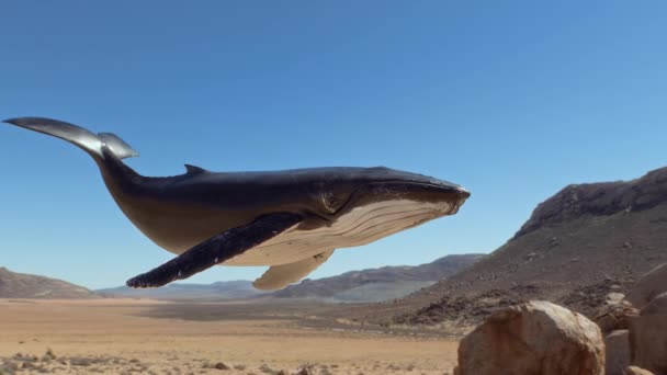 Animación Surrealista Una Ballena Jorobada Desliza Sobre Desierto Simbolizando Marcadamente — Vídeos de Stock