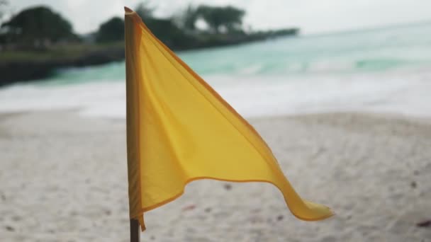 촬영은 환경에서주의를 배경에 파도의 해변에서 플러팅 자신의 깃발에서 노란색 수영을 — 비디오