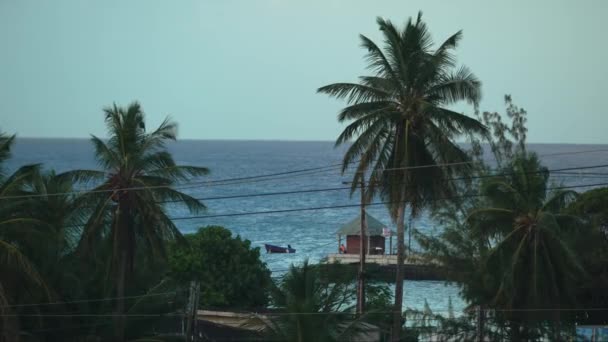 Une Image Dynamique Paysage Tropical Typique Des Caraïbes Mettant Valeur — Video