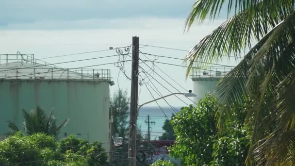 Egy Élénk Felvétel Egy Tipikus Trópusi Karibi Tájról Amely Buja — Stock videók
