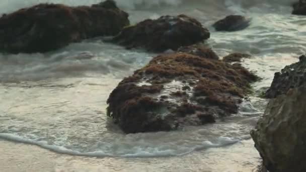 迷人的慢镜头 海浪缓缓地在布满青草的海洋岩石上翻滚 凸显了海洋和陆地之间宁静的相互作用 — 图库视频影像