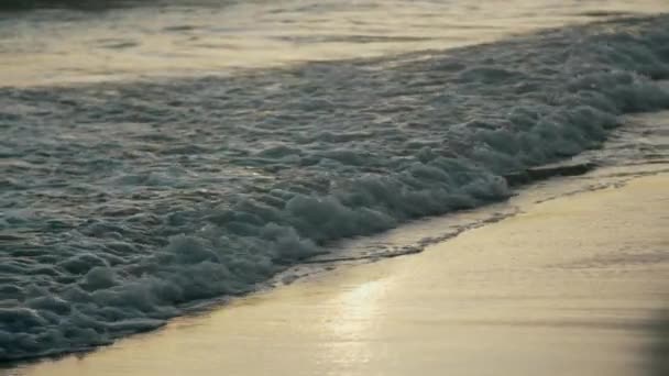 Captivadoras Imágenes Olas Suaves Rodando Sobre Las Orillas Enterprise Beach — Vídeos de Stock