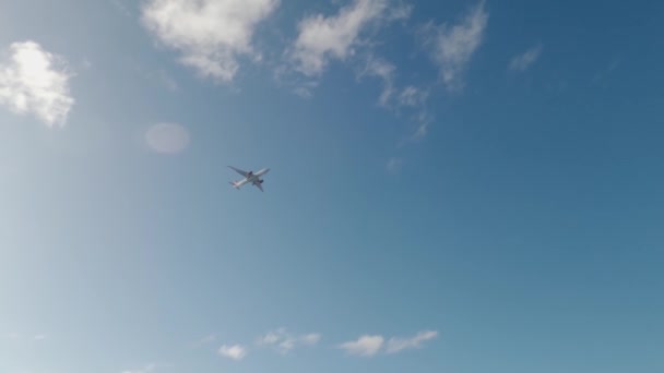 Eine Atemberaubende Luftaufnahme Während Ein Flugzeug Über Dem Tropischen Paradies — Stockvideo