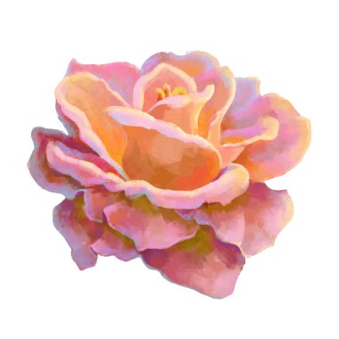 Vector high detailed realistic rose flowers on white for design. Oil or acrylic painting rose.