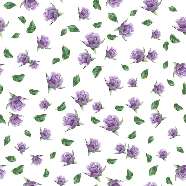 Blumenmuster Mit Violetten Rosen Vektor Nahtlose Muster Mit Oder Acrylmalrosen — Stockvektor