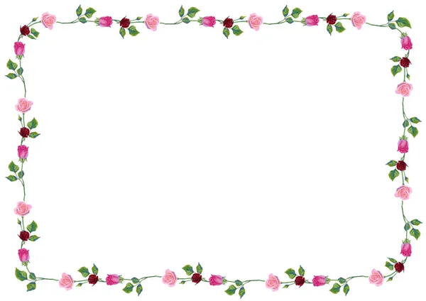 Vector Background Pink Rose Flowers Green Leaves Floral Frame Cute — 图库矢量图片