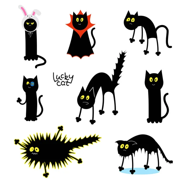 Black Cats Poses Cat Rabbit Hat Dracula Cat Wet Frightened — Stock Vector