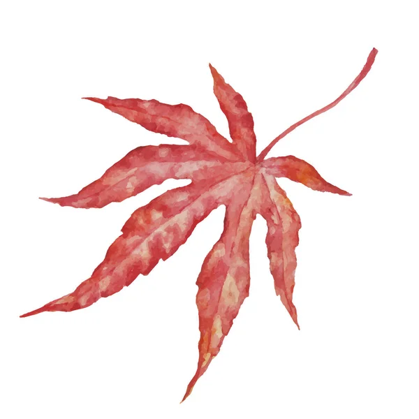 Διάνυσμα Φθινοπωρινό Ακουαρέλα Γιαπωνέζικο Φύλλο Σφενδάμου Εικόνα Απομονωμένη Λευκό Φόντο — Διανυσματικό Αρχείο