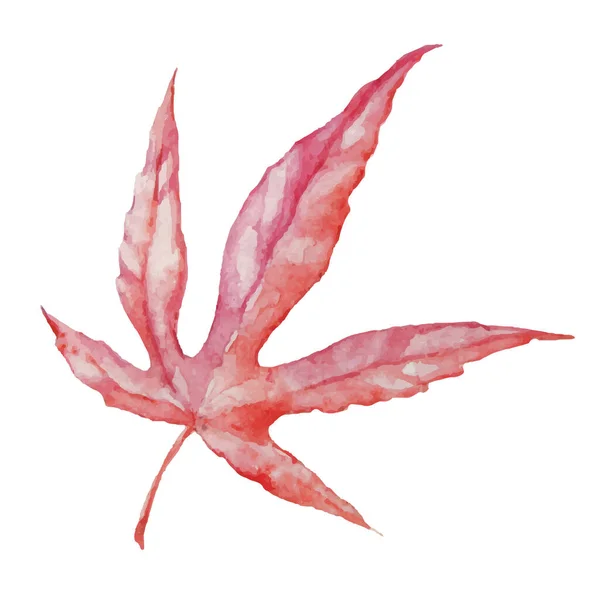 Vektorherbst Aquarell Japanisches Ahornblatt Illustration Isoliert Auf Weißem Hintergrund — Stockvektor