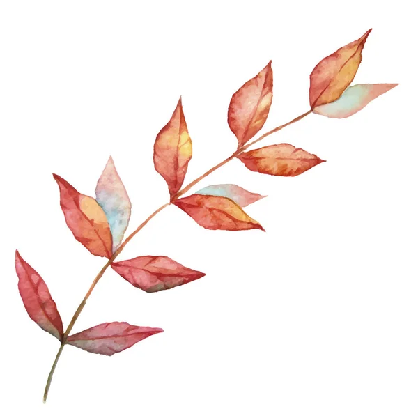 Vektor Herbst Aquarell Blätter Auf Zweig Illustration Isoliert Auf Weißem — Stockvektor