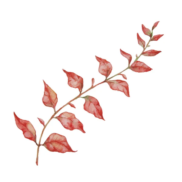 Vector Herfst Aquarel Bladeren Tak Illustratie Geïsoleerd Witte Achtergrond — Stockvector