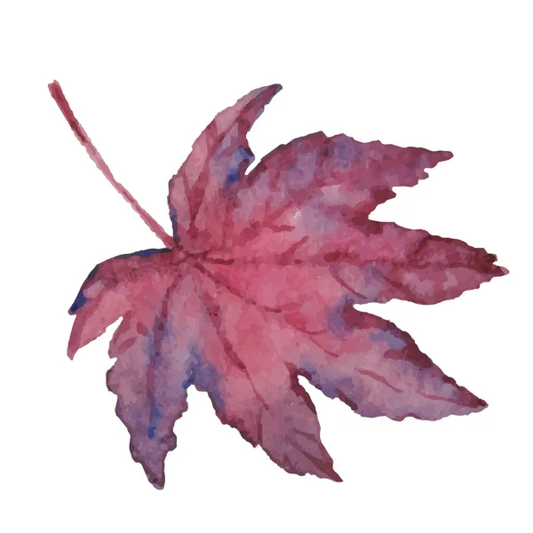 Vector Autumn Watercolor Japanese Maple Leaf Illustration Isolated White Background Stock Illustration