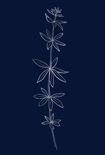Yapımı Yabani Otlar Gümüş Renkli Bitki Çizimi Koyu Mavi Arkaplanda — Stok Vektör