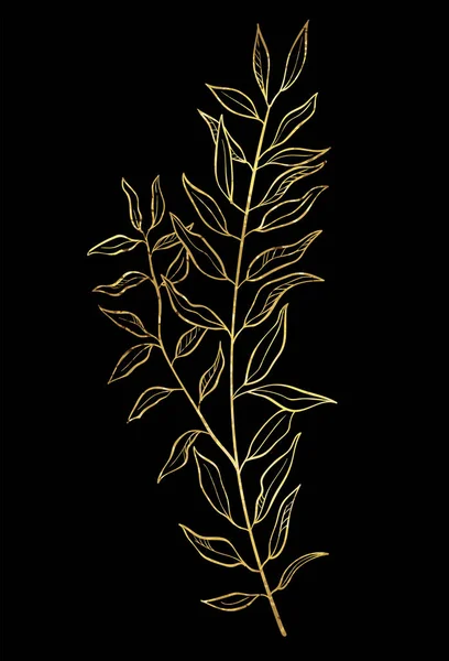 Hand Drawn Wild Herb Golden Plant Drawing Sketch Doodle Style Royalty Free Stock Vectors
