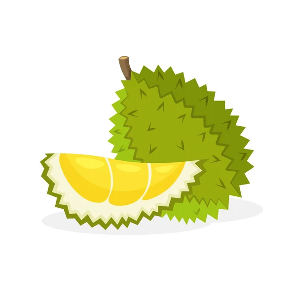 Durian Meyvesi Tam Parça Meyveler Vejetaryen Gıda Vektör Simgeleri Modaya — Stok Vektör