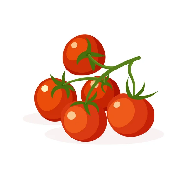 番茄樱桃 农场新鲜番茄枝条 在白色背景上孤立的流行平板风格的矢量插图 — 图库矢量图片