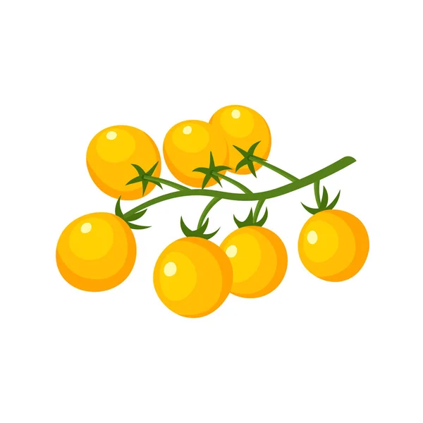 Tomat Kuning Cherry Cabang Tomat Segar Ilustrasi Vektor Dengan Gaya - Stok Vektor