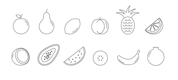 Svart Linje Frukt Set Tropiska Konturfrukter Linjär Stil Vektor Illustration Royaltyfria Stockvektorer