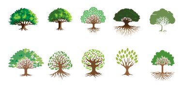 Creative Oak Trees Koleksiyon Logo Vektörü Simge Tasarımı Çizimi