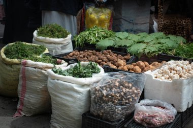 Yer mantarı, yer mantarı yığını, mantar ve bitkiler gıda pazarında.