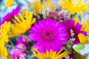 Çiçek yakın plan, çiçek demeti.