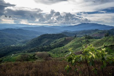 Dağ manzaralı Doi Inthanon Ulusal Parkı, Chiang Mai, Kuzey Tayland
