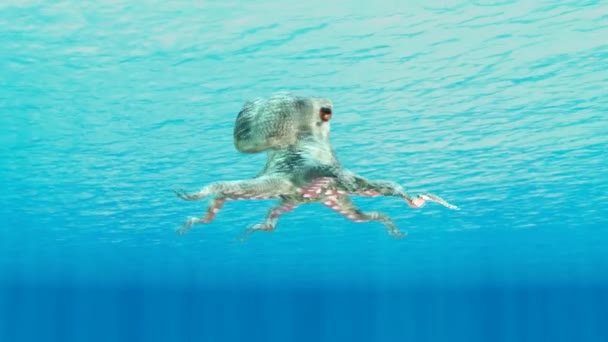 Digital Sculpture Octopus Close Surface Sea — Stock Video