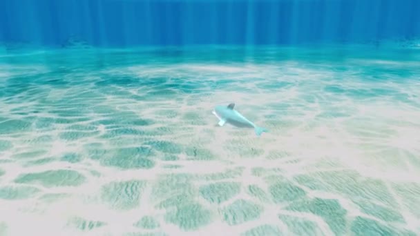 Animação Golfinho Nadando Perto Fundo Mar — Vídeo de Stock