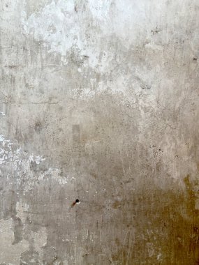 Yıpranmış beyaz beton duvar arka planı ve modern ya da eski ve klasik iç tasarım için doku