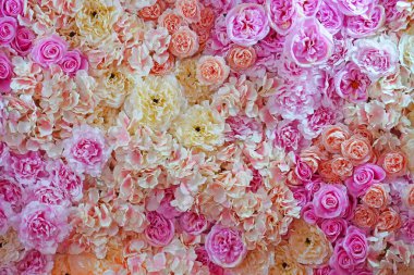Renkli çiçekler arka plan ve doku. Düğün ve Sevgililer Günü için güllerin arkaplanı