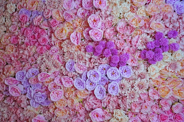 Stock image Colorful flowers background and texture. Roses backdrop for wedding party and Valentines day