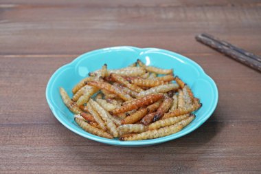 Kızarmış böcekler. Yenilebilir böcekler, diğer doğal besin kaynakları. Böcek bilimi, Muhteşem Egzotik yiyecekler, Füzyon yiyecekler. Seçici odak