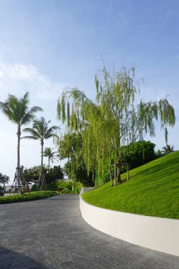 Bahçıvanlık fikirleri: Modern bahçedeki söğüt ağaçları. Bahçe tasarımı