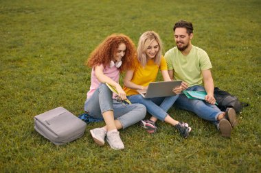 Mutlu genç erkek ve kadınların gündelik giysiler içinde yüksek açı, netbook 'ta gülümseyen ve göz gezdiren veriler çimenli çimlerde otururken ve yaz günü parkta ödev yaparken.