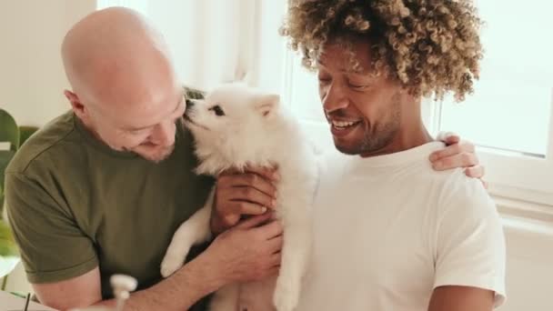 Schwules Paar Schwarzer Männlicher Afro Frisur Und Kaukasischer Mann Genießen — Stockvideo