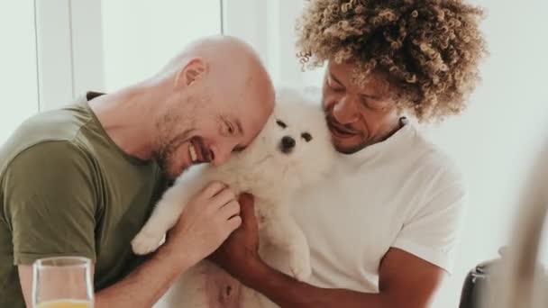 Heartwarming Scene Same Sex Couple Embracing Cute White Fluffy Japanese — Stock Video