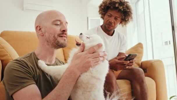 Diversos Homens Homossexuais Desfrutando Tempo Juntos Sofá Brincando Com Seu — Vídeo de Stock