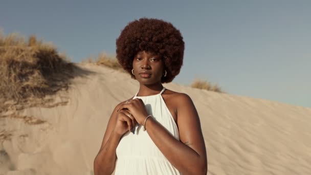 Eine Atemberaubende Afrikanische Frau Mit Afro Haaren Ein Modemodel Steht — Stockvideo