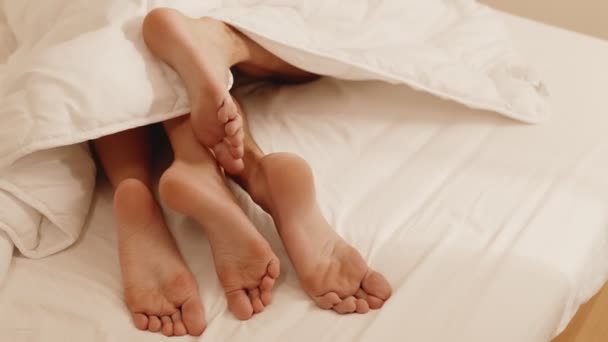当年轻夫妇的脚在舒适的毛毯下抚摸着家的时候 这幅特写镜头捕捉了这种温馨的联系 — 图库视频影像