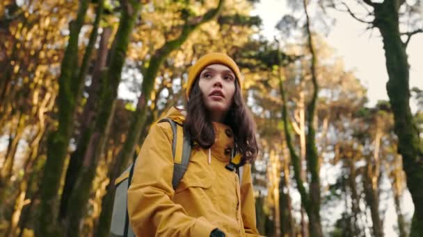 Young Woman Backpack Explores Winter Forest Stops Checks Her Smartwatch — Stock Video