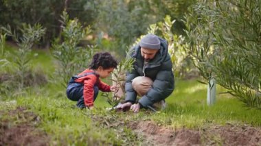 Küçük bir çocuğun, babasının ağaç dikmesine sevinçle yardım ettiği sevimli bir sahne. Yürek ısıtan bir çevre bakımı ve bağ kurma anı