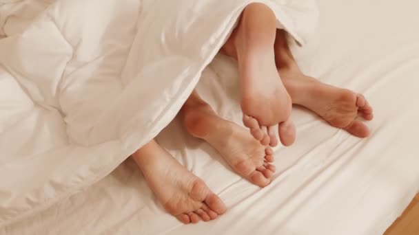 Closeup Glimpse Couples Legs Bed White Blanket Sharing Flirtatious Touches — Stock Video