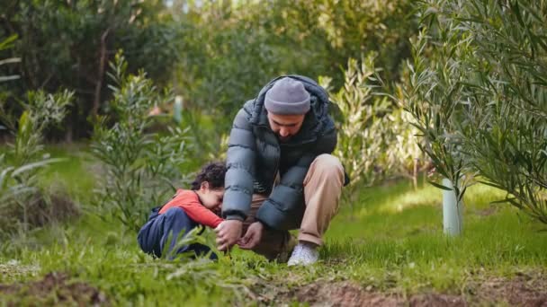 Momento Conmovedor Como Padre Cariñoso Adorable Hijo Plantan Árbol Juntos — Vídeos de Stock