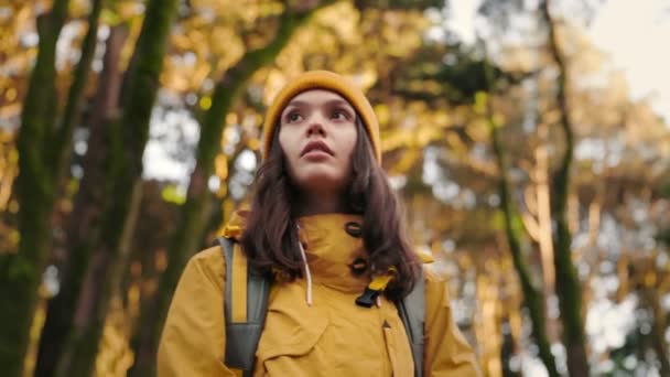 穿着黄色帽子和雨衣的年轻女子背着背包在森林里探险 在她最聪明的探险活动中停下脚步 检查着她的指路 — 图库视频影像