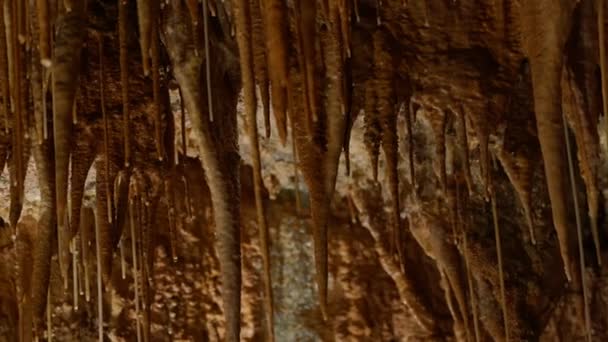ミネラルフォームのパンニングショット 洞窟の天井からぶら下がるストラクタを展示 — ストック動画